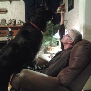 Meet your Posher, Bill